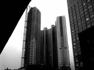 20110315920