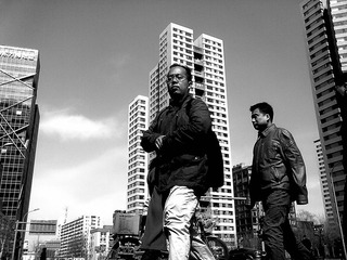 20110315894