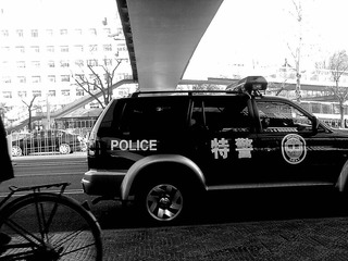 20110315799