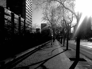 20110315788