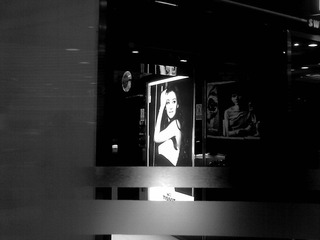 20110313628