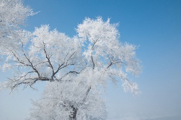 雾凇岛