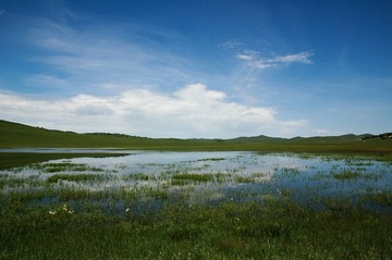 塞罕坝