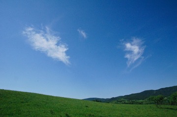 塞罕坝
