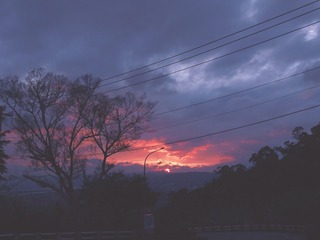 1170051