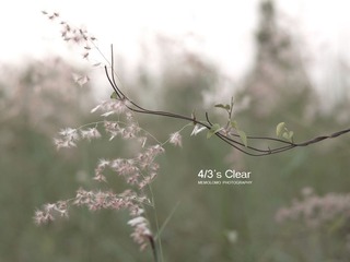 P1010011.jpg