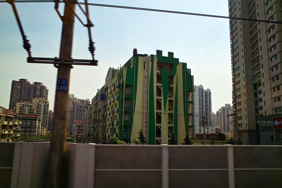 植物<br />
