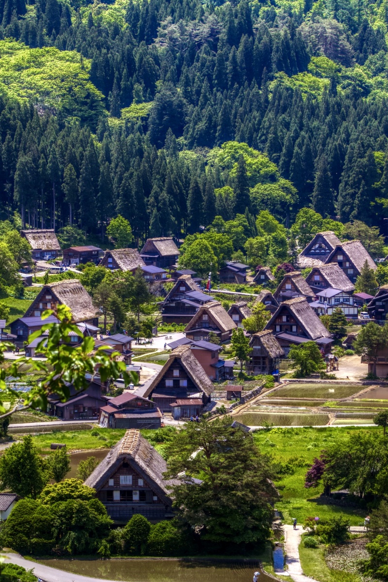 世界冬化遗产白川乡合掌村