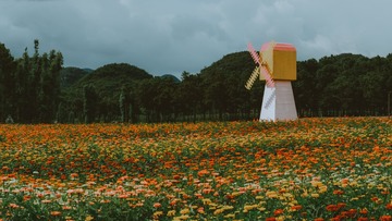 868880