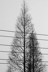 959231