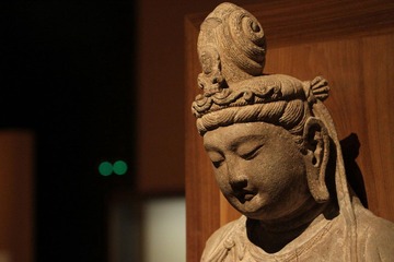 IMG_9382.jpg