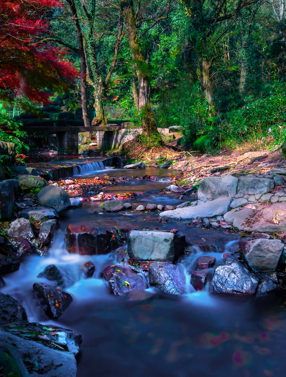 九溪烟树的秋色