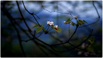 IMG_6659SY.jpg