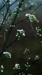 B79755A0-51B8-4D7D-9E30-AE5B36EA82D1/L0/001