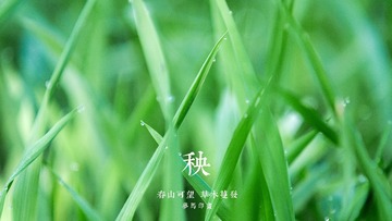 06FD91C9-CCF3-4B59-8009-0AD5BC6DFA1A/L0/001