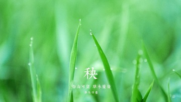 232C363F-77C7-4D10-8B7F-08C4FA7212FC/L0/001