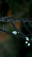 F630AA52-2258-48EB-A4FA-FD5C5CEC8160/L0/001