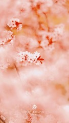 E50D2C98-42A9-4AE6-B40B-E967C62DC11B/L0/001