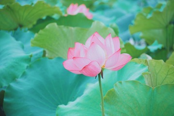 001