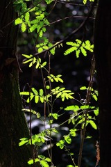 001