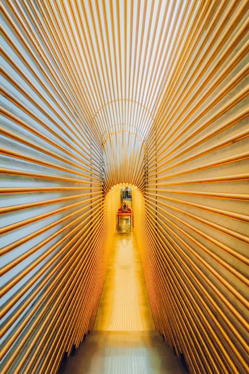 一点透视的人像 - 爱摄影的兔小呆 - 图虫