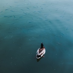 180810