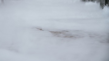 347061
