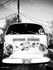 _0010071.jpg