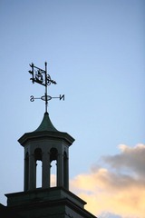 IMG_2177.jpg