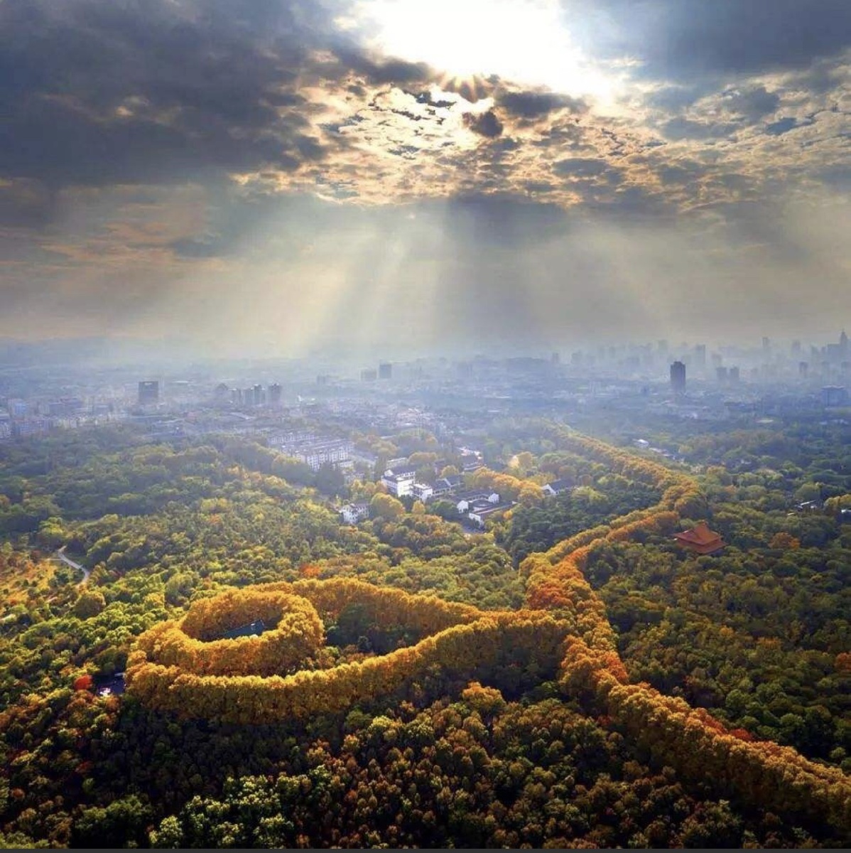 镜下细胞vs美龄宫项链