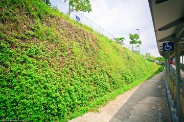 IMG_4988.jpg