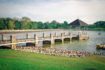 IMG_2746.jpg