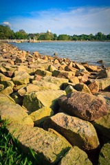 IMG_2736.jpg