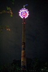 IMG_2598.jpg