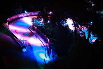IMG_2593.jpg