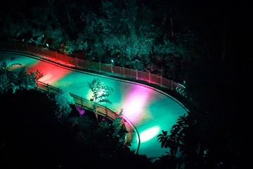 IMG_2587.jpg