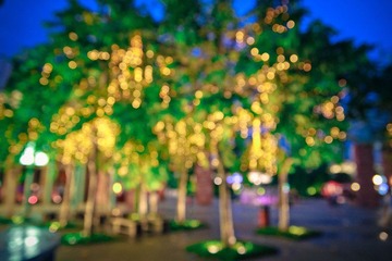 IMG_2565.jpg