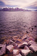 IMG_0543.jpg