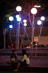 IMG_6374.jpg