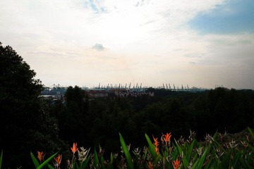 IMG_6362.jpg