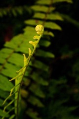 IMG_6358.jpg