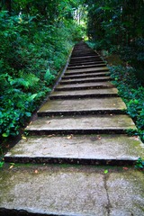 IMG_6355.jpg