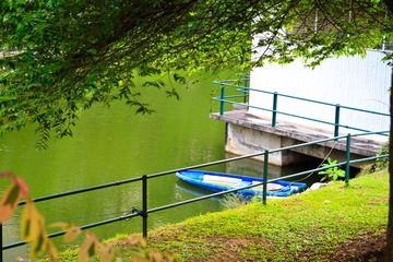 IMG_6347.jpg