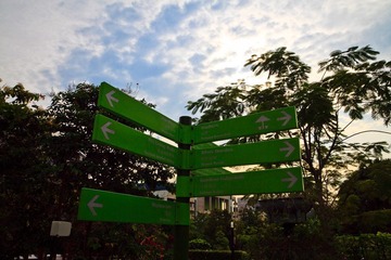 IMG_6320.jpg