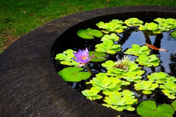 IMG_6311.jpg