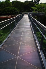 IMG_6305.jpg