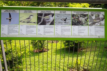 IMG_6302.jpg