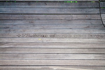 IMG_6276.jpg