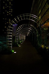 IMG_7694.jpg