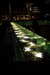 IMG_7673.jpg